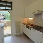 Spacious In Weser Uplands With Garden Bad Pyrmont