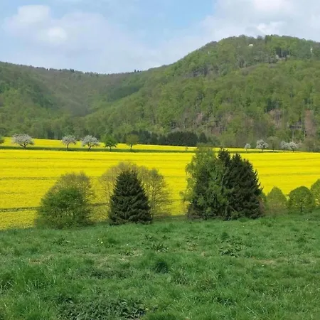 Spacious In Weser Uplands With Garden شقة باد بيرمونت