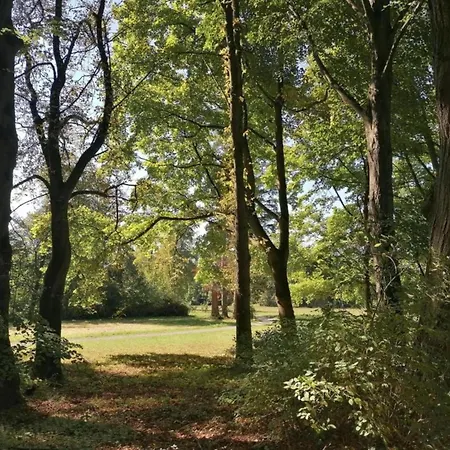 Lägenhet Spacious In Weser Uplands With Garden