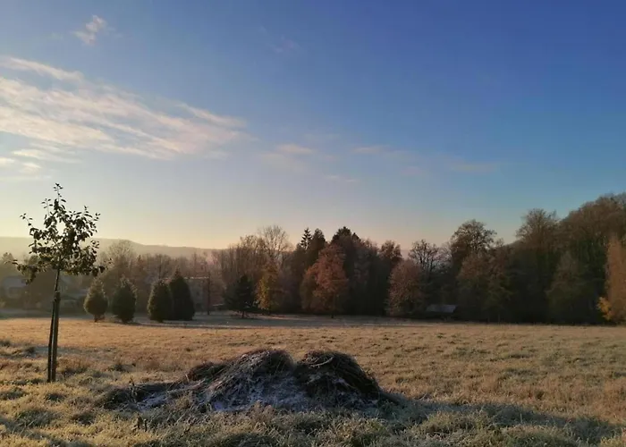 Spacious In Weser Uplands With Garden Appartamento Bad Pyrmont