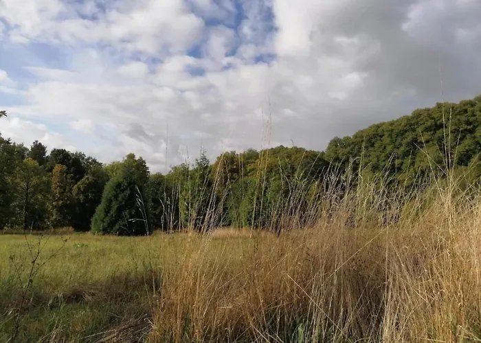 Appartamento Spacious In Weser Uplands With Garden Bad Pyrmont